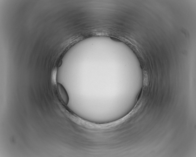 X0000111910047200908101210