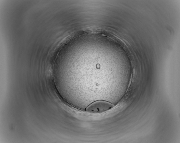 X0000111910048200908101210