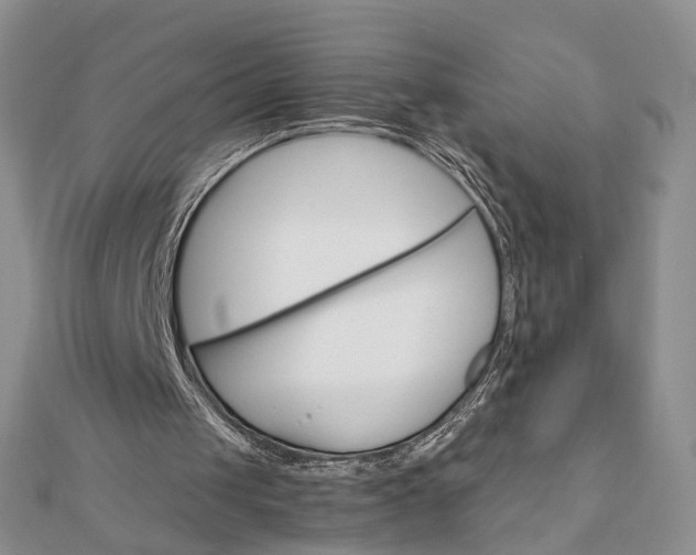 X0000111910049200908101209