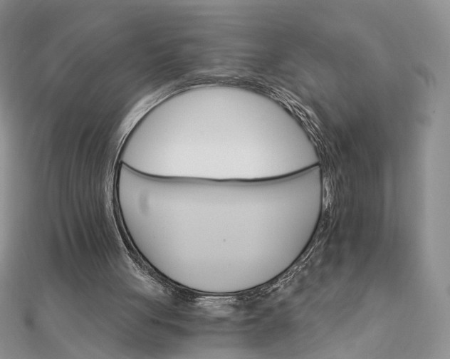 X0000111910051200908101209