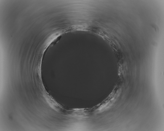 X0000111910052200908101209