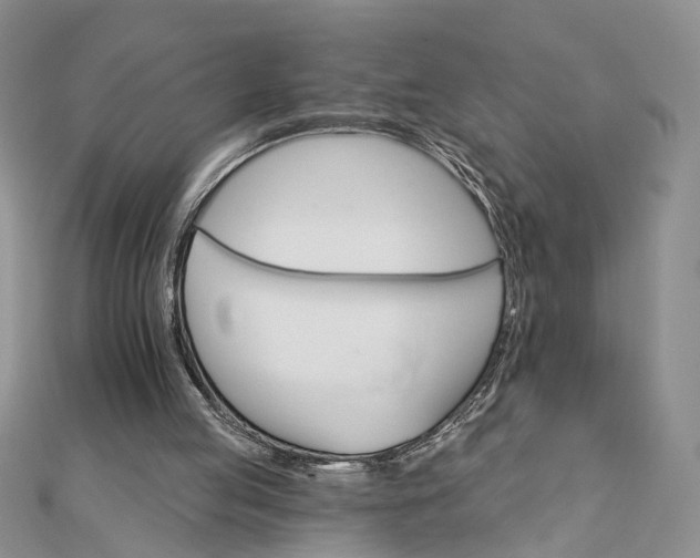 X0000111910053200908101209