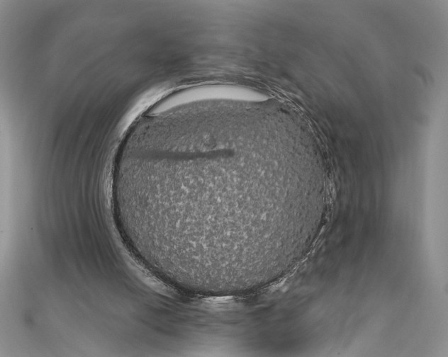 X0000111910054200908101209