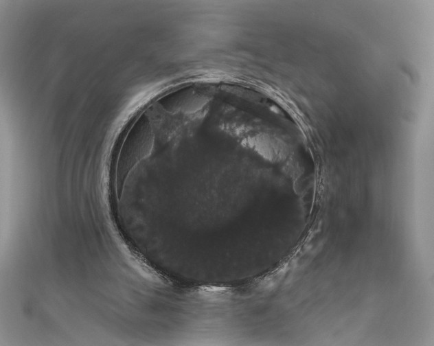 X0000111910055200908101209