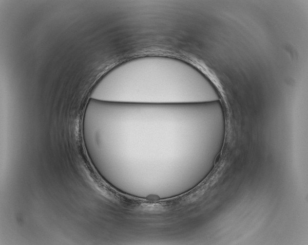 X0000111910057200908101209