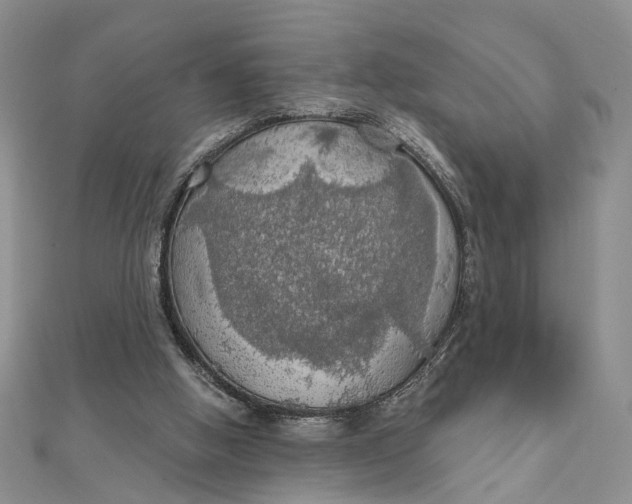 X0000111910058200908101209