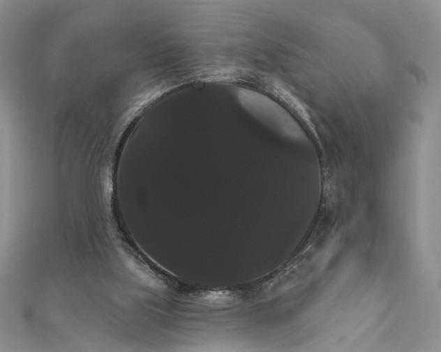 X0000111910059200908101209