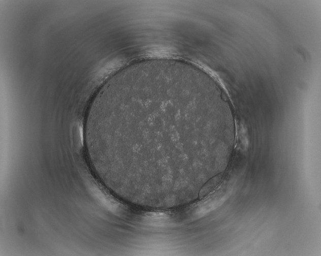 X0000111910061200908101209