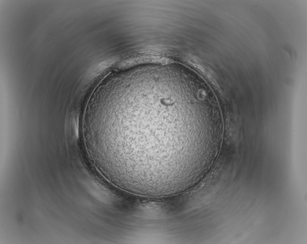 X0000111910062200908101209