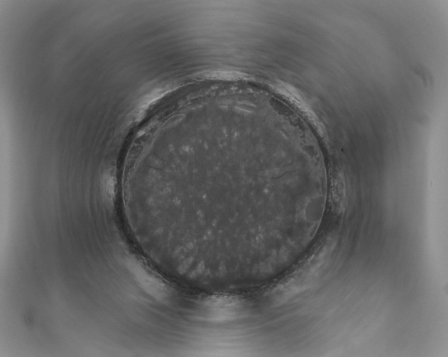 X0000111910063200908101209