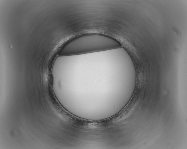 X0000111910064200908101209