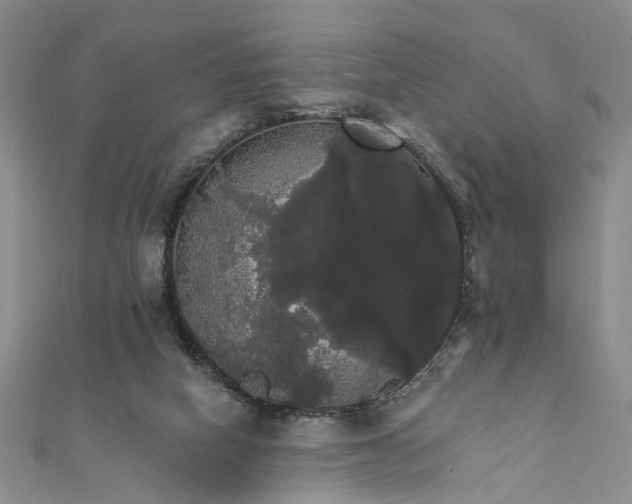 X0000111910066200908101209