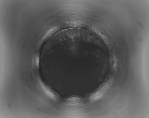 X0000111910067200908101209