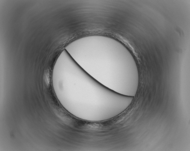 X0000111910069200908101209