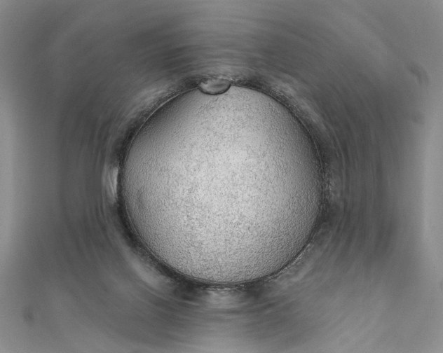 X0000111910070200908101209