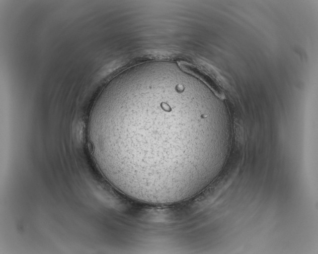 X0000111910071200908101209