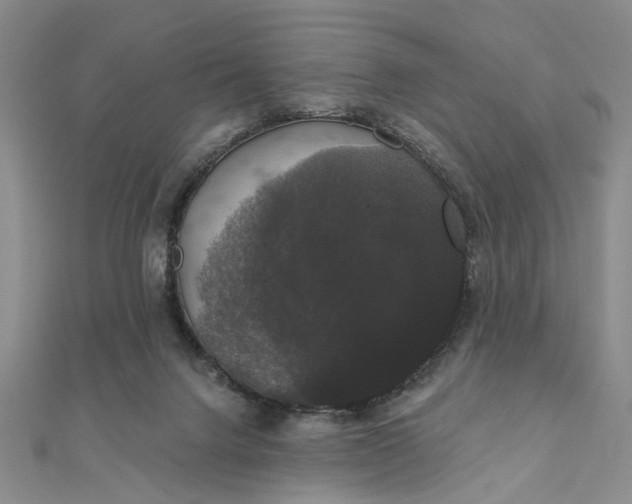 X0000111910072200908101209