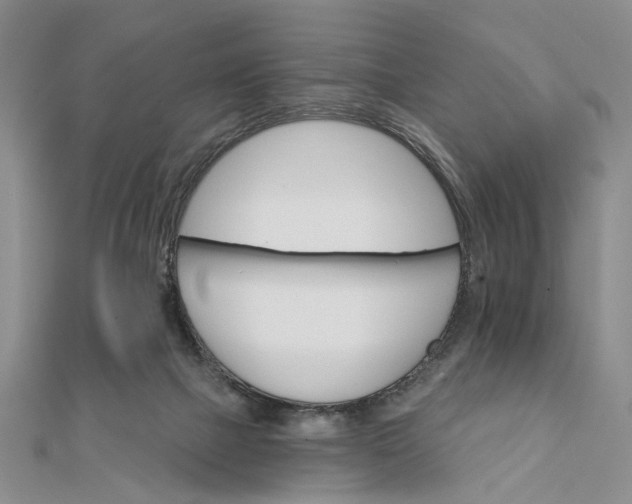 X0000111910073200908101209