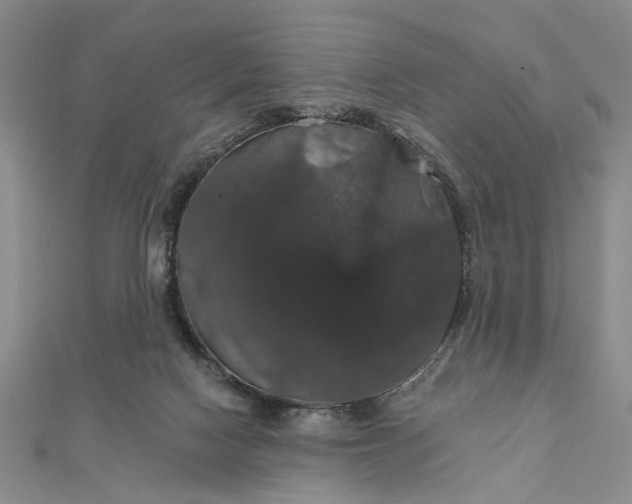 X0000111910074200908101209