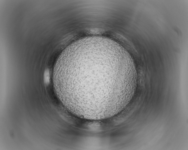 X0000111910075200908101209