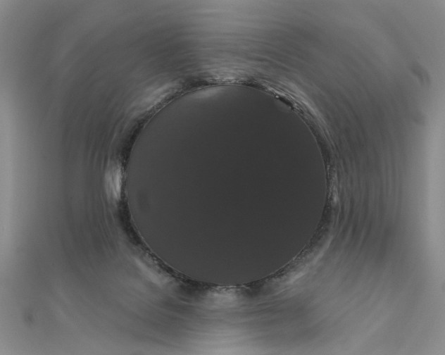 X0000111910076200908101209