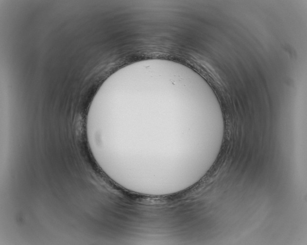 X0000111910077200908101209