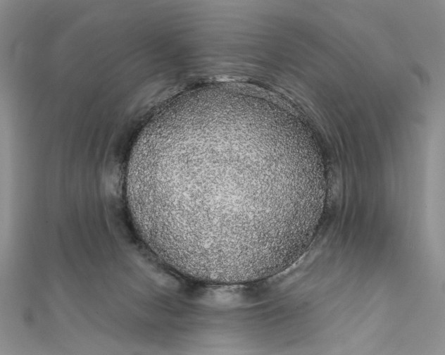 X0000111910078200908101209