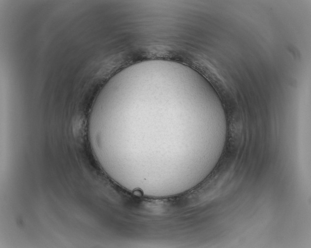 X0000111910079200908101209