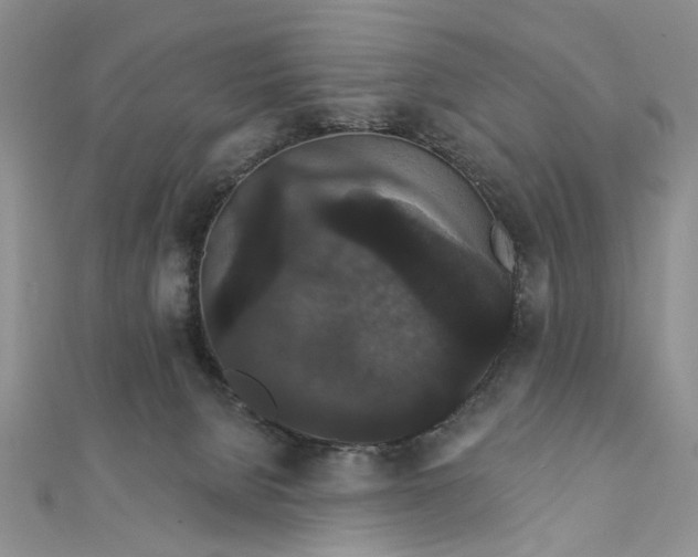 X0000111910080200908101209