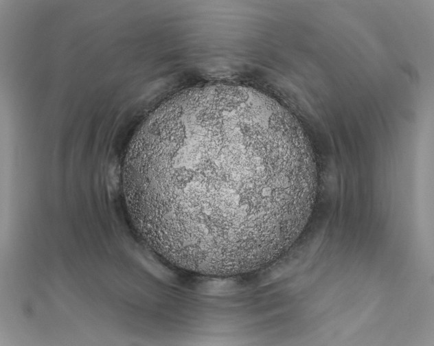 X0000111910081200908101209