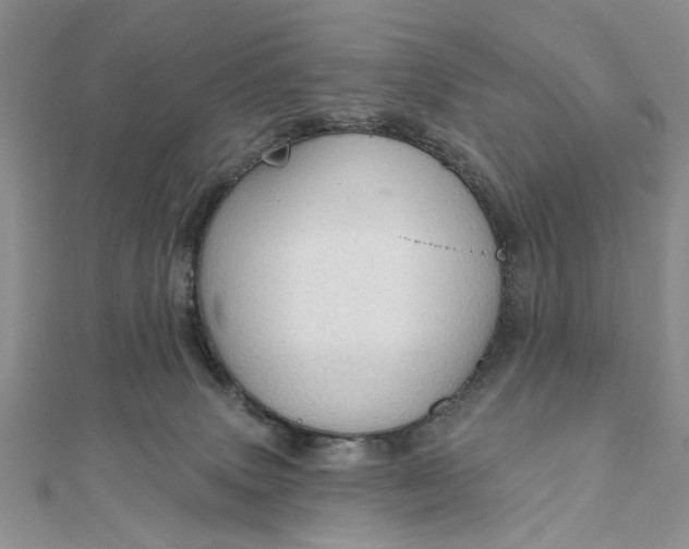 X0000111910083200908101209