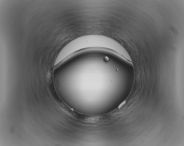 X0000111910084200908101209