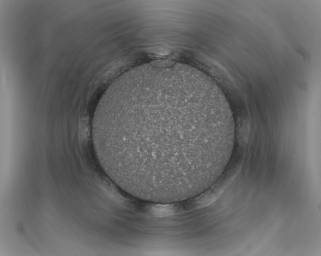 X0000111910085200908101209