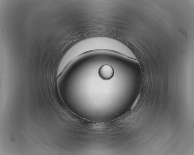 X0000111910088200908101209