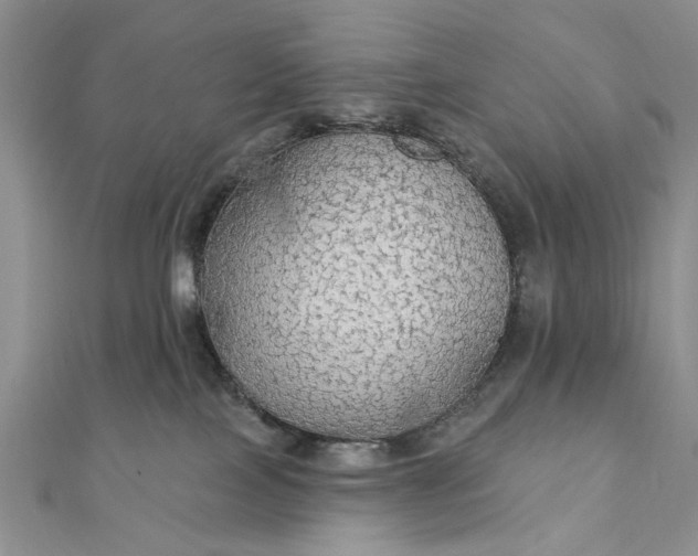 X0000111910089200908101209