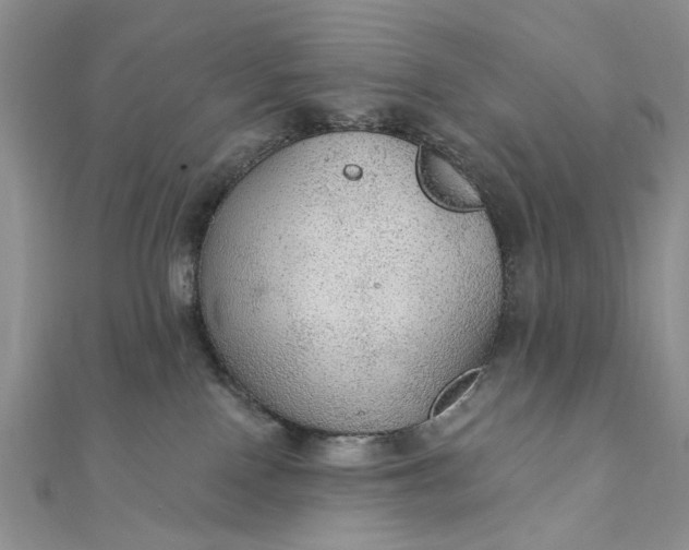 X0000111910090200908101210