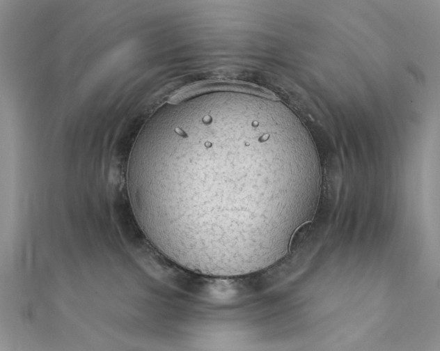 X0000111910091200908101210