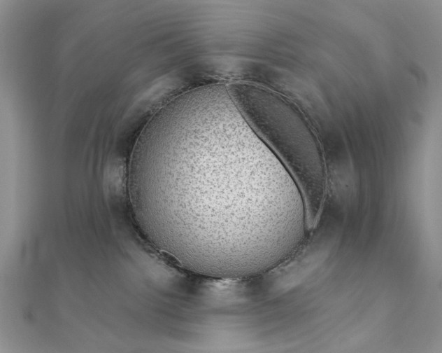 X0000111910092200908101210