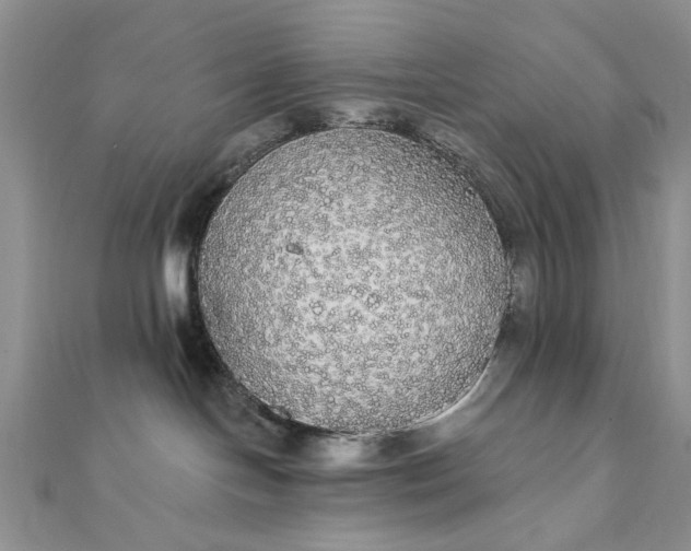 X0000111910094200908101210