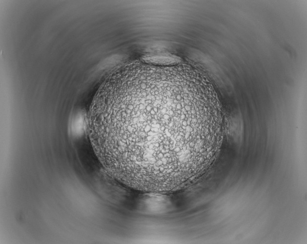 X0000111910095200908101210