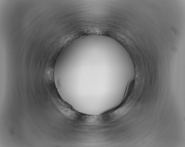 X0000111910096200908101210