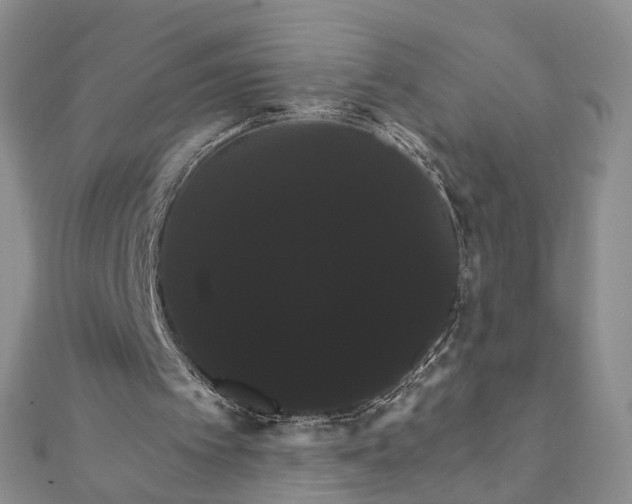 X0000111910097200908101209