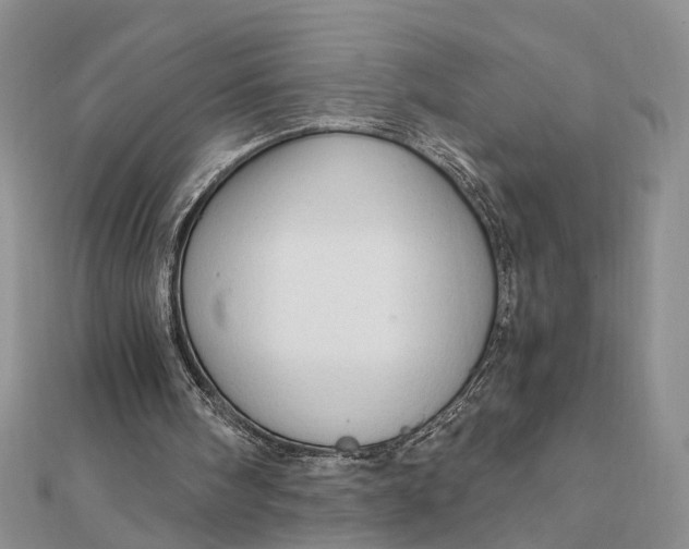 X0000111910098200908101209