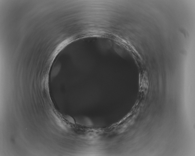 X0000111910099200908101209