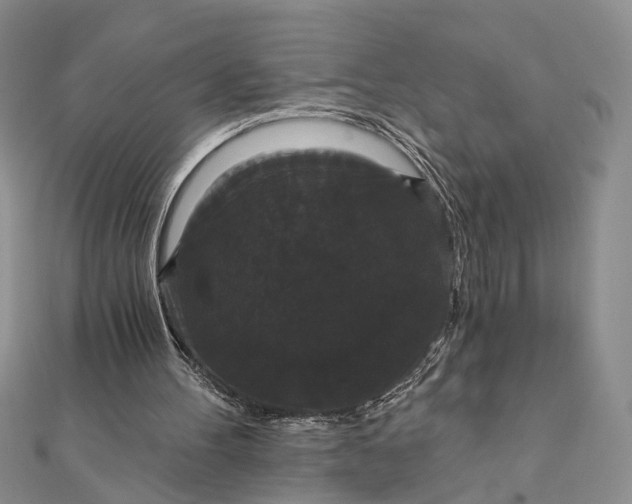 X0000111910100200908101209