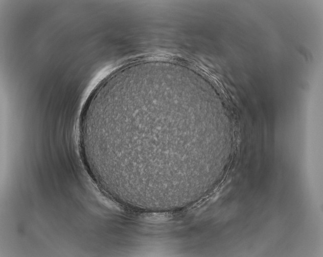 X0000111910102200908101209