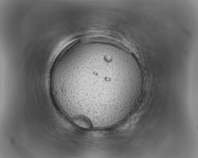 X0000111910103200908101209