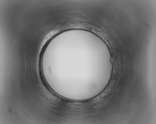 X0000111910104200908101209