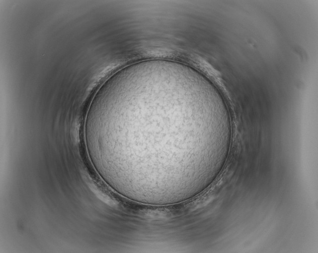 X0000111910106200908101209