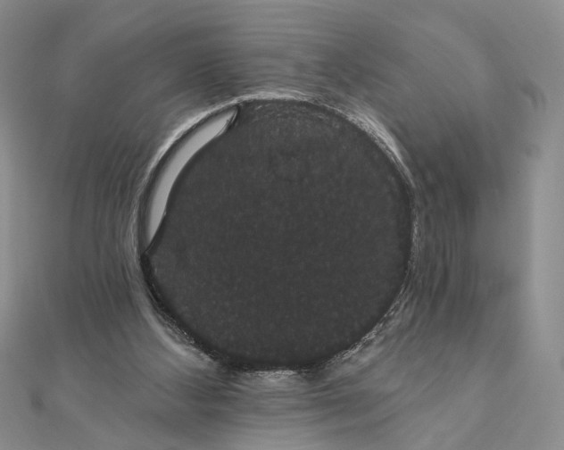 X0000111910108200908101209